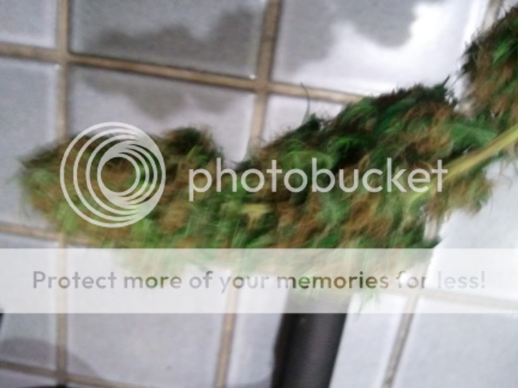 WP_000425.jpg