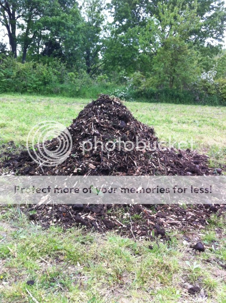 photo19.jpg
