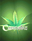 ANIMATIONCANNABISLEAF.gif