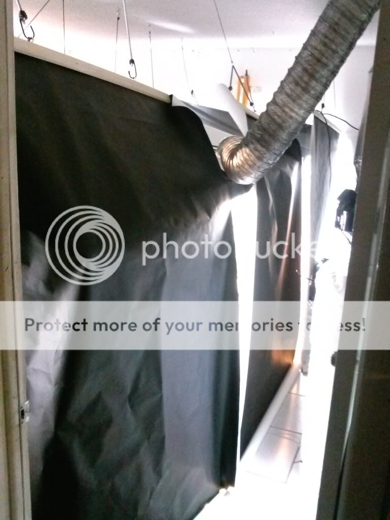 CAM01011_zpse956c02f.jpg