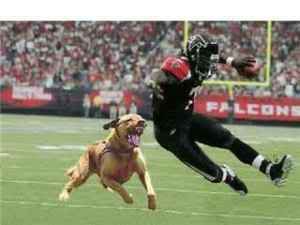 vick.jpg