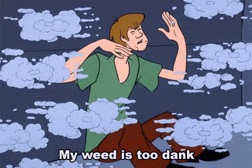 tumblr_mopy2fOaEz1srcdaao1_500.gif