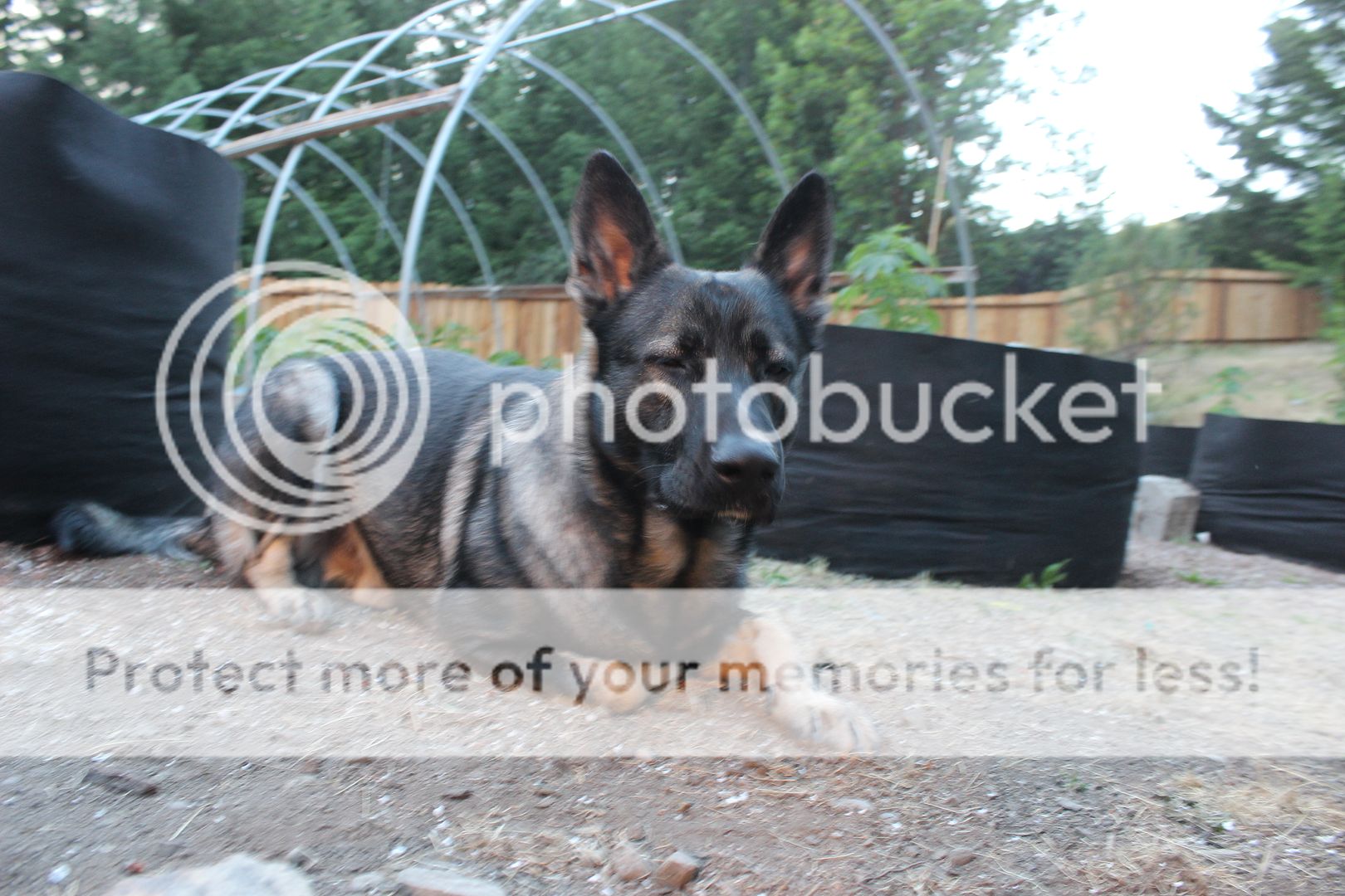 IMG_3835_zps44dxz9p0.jpg