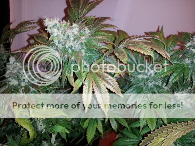20130107_083510.jpg
