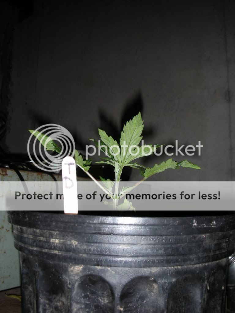 DSCN2670.jpg