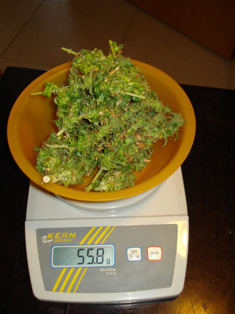 R8L56Tth.jpg