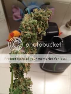 photo-9-1.jpg