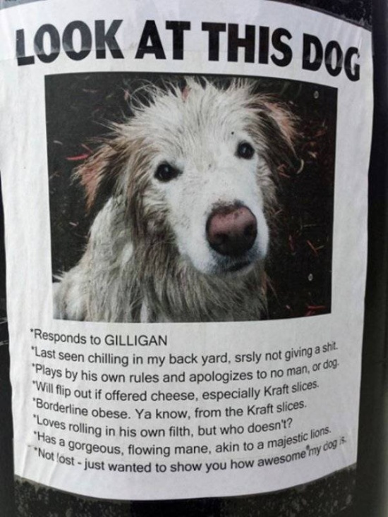 animals_bastards_43.jpg