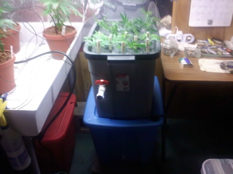 new-veg-unit.jpg
