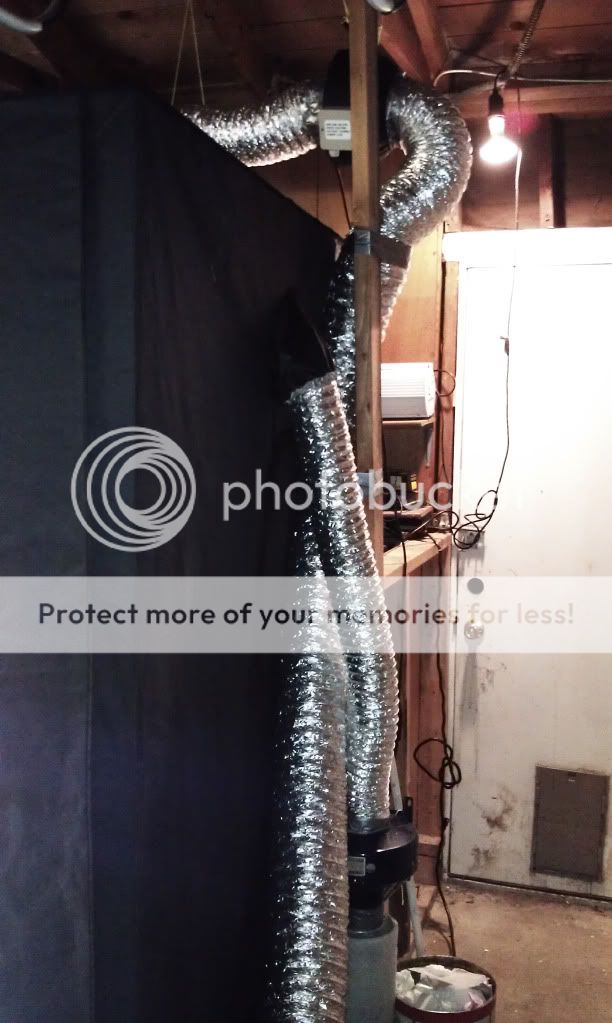 IMAG0519.jpg