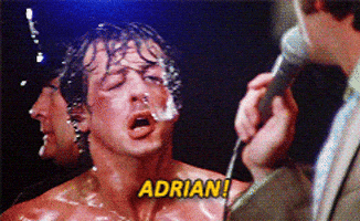 Rocky Ii GIFs - Get the best GIF on GIPHY