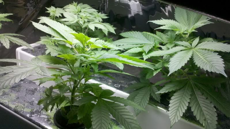 2011-03-01_08-52-38_497.jpg