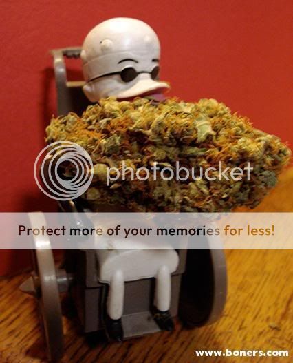 8055251.jpg