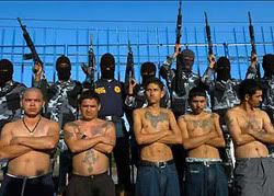 mexican.jpg