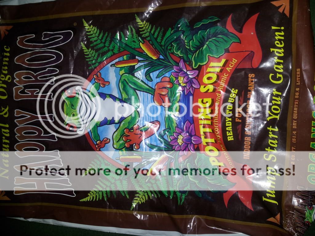 20121217_132548.jpg