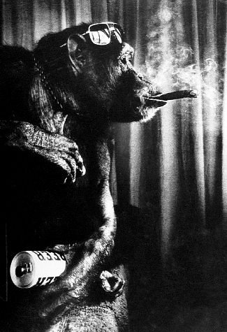 cheetah-smoking.jpg