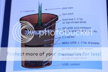 IMG_0796_zpscdb79a18.jpg