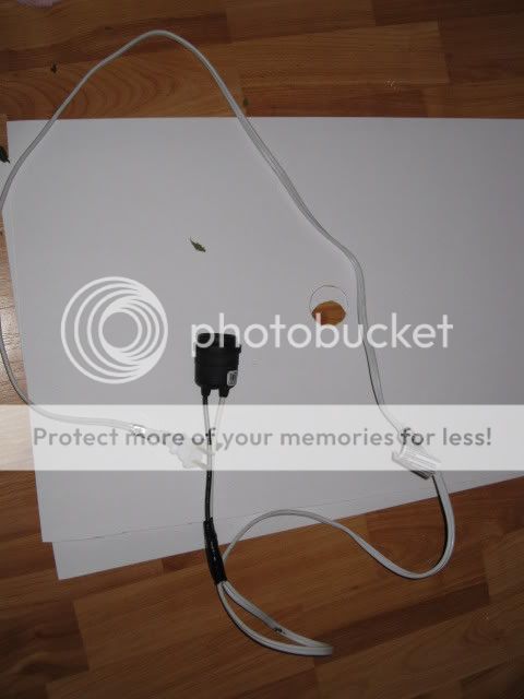 20090221_38.jpg
