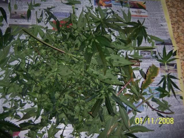 000_2258.jpg