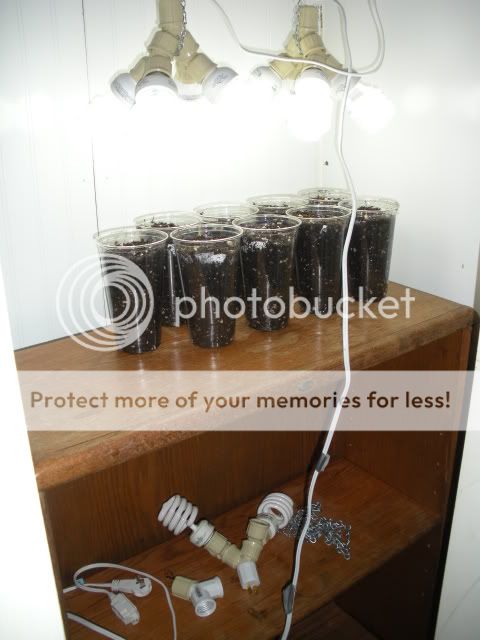DSCN0749.jpg
