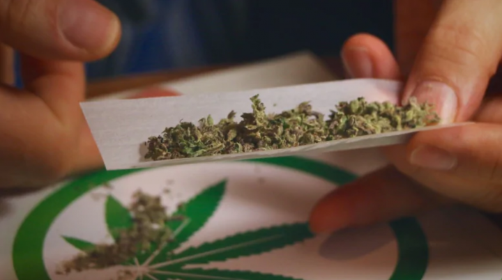 Marijuana-store-e1534026309453.png