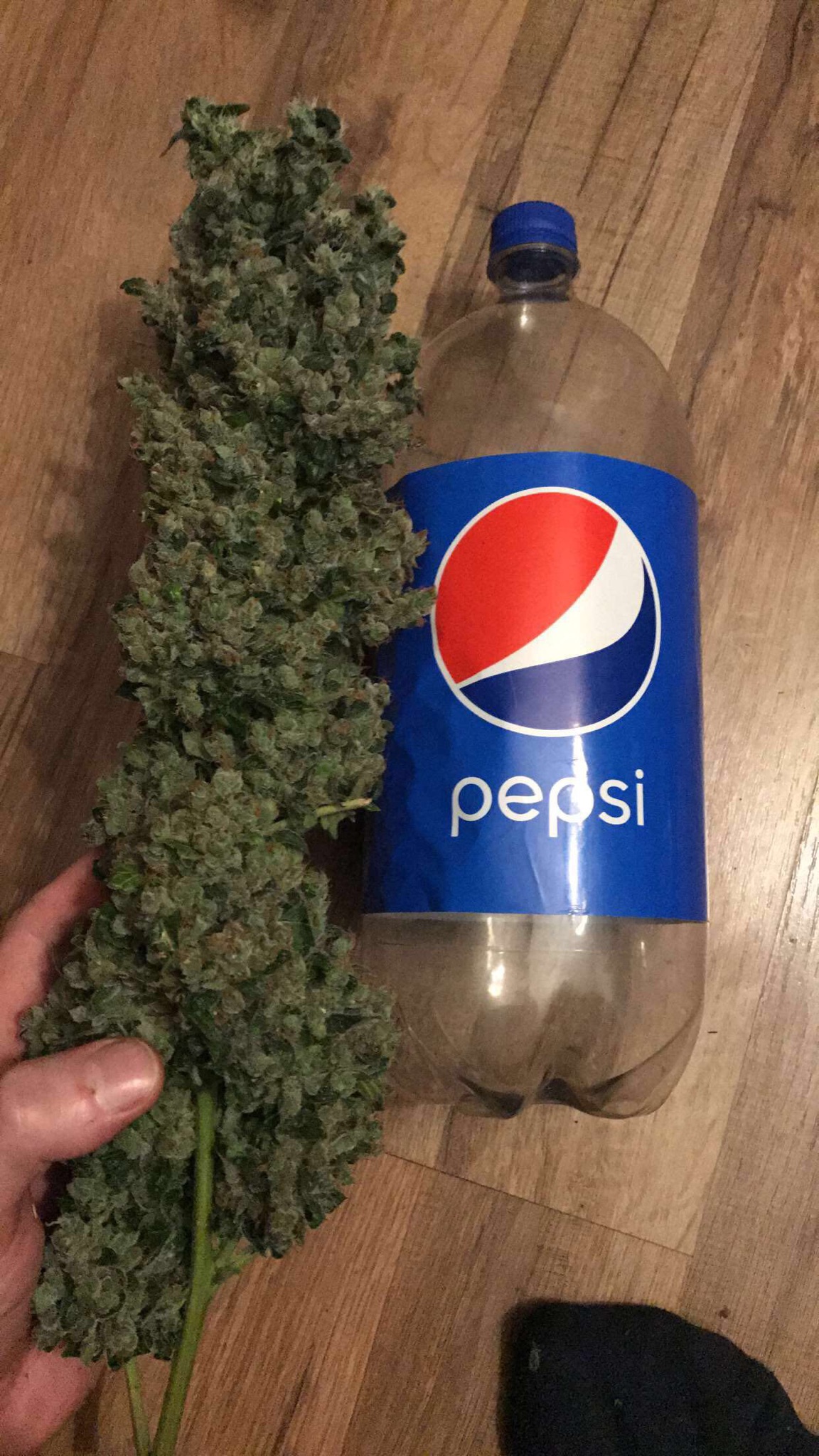 ]