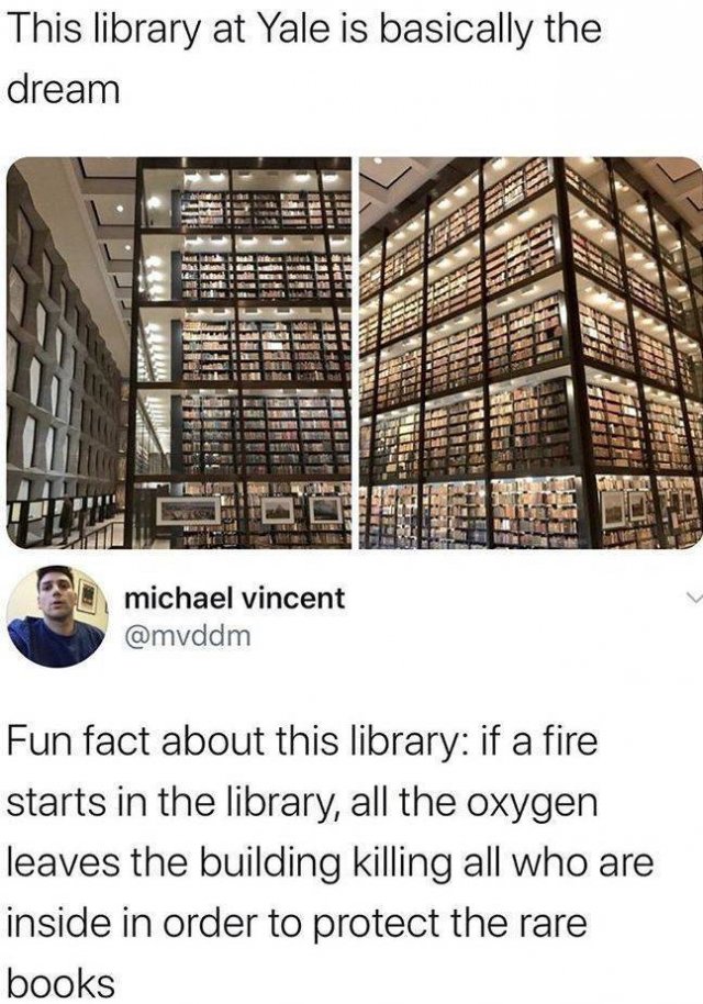 1593029200_lcf1uf0kio.jpg