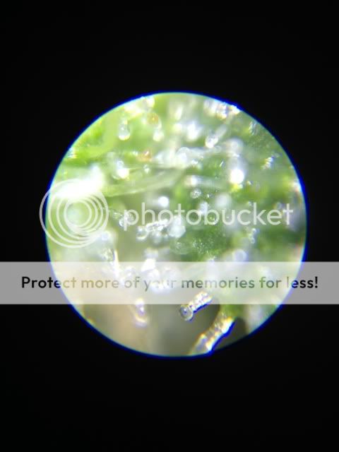 image_zps54b3415c.jpg