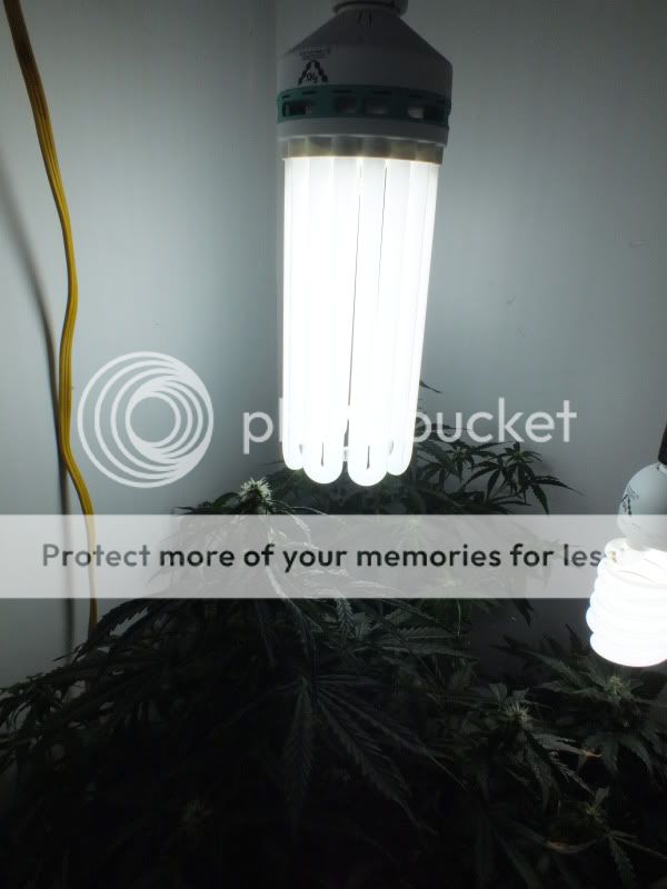 DSCF3582.jpg
