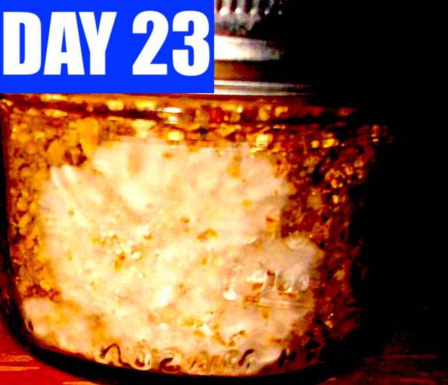 day-23.jpg