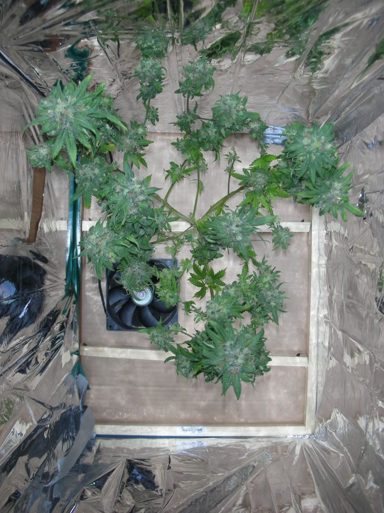 DSCN3554.jpg