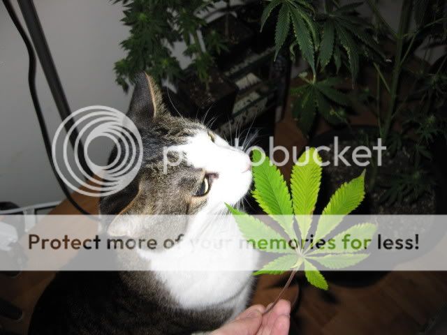 20090228_9.jpg