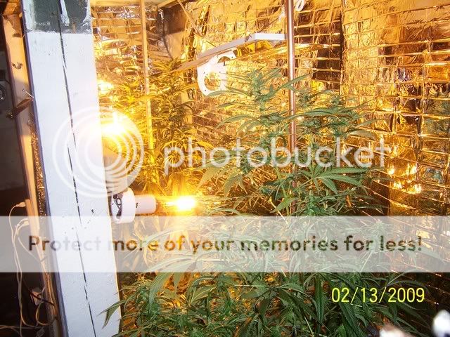 100_1337.jpg