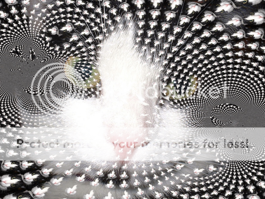 2f1d79ee.png