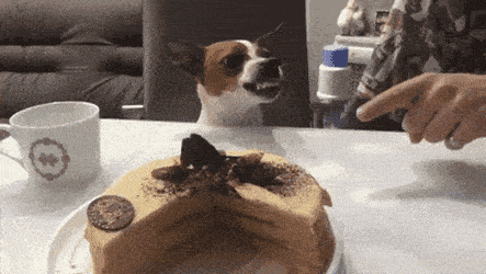 gifs_09.gif