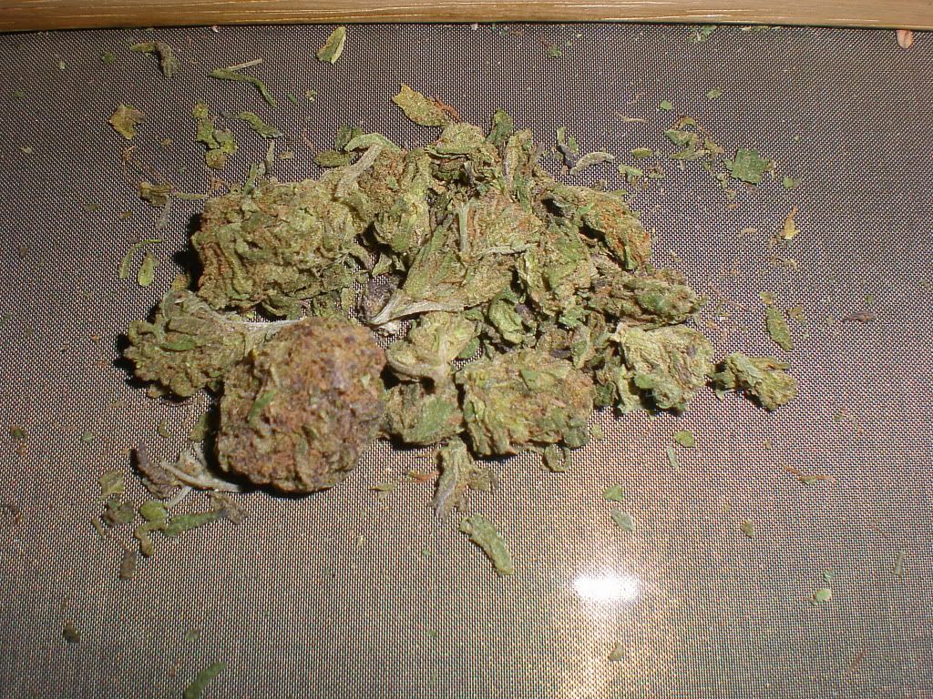 PC040004.jpg