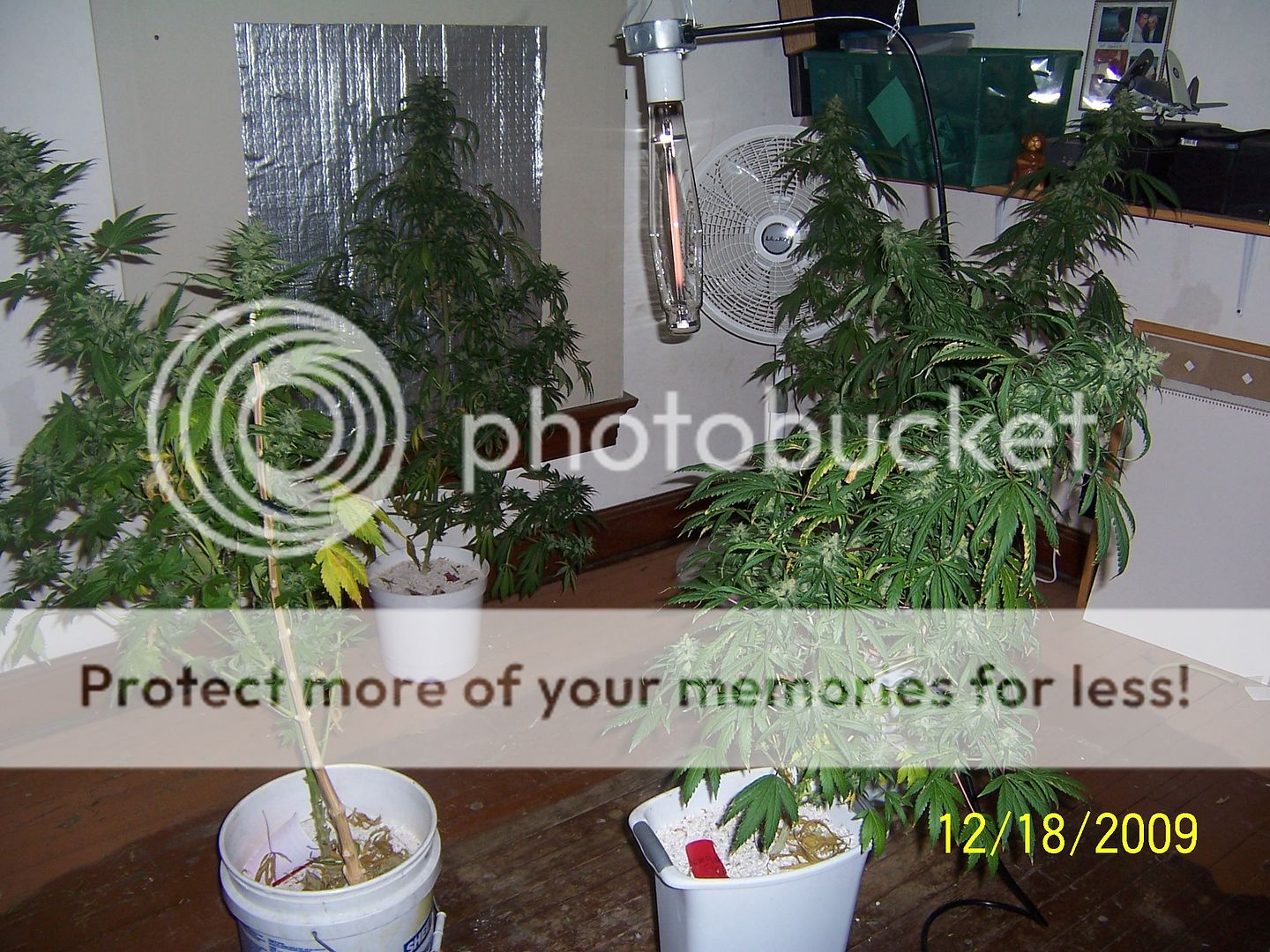 100_2439.jpg