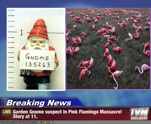 8c789174532a8f5ed77b1b1e7c3b4a72--funny-gnomes-the-gnome.jpg