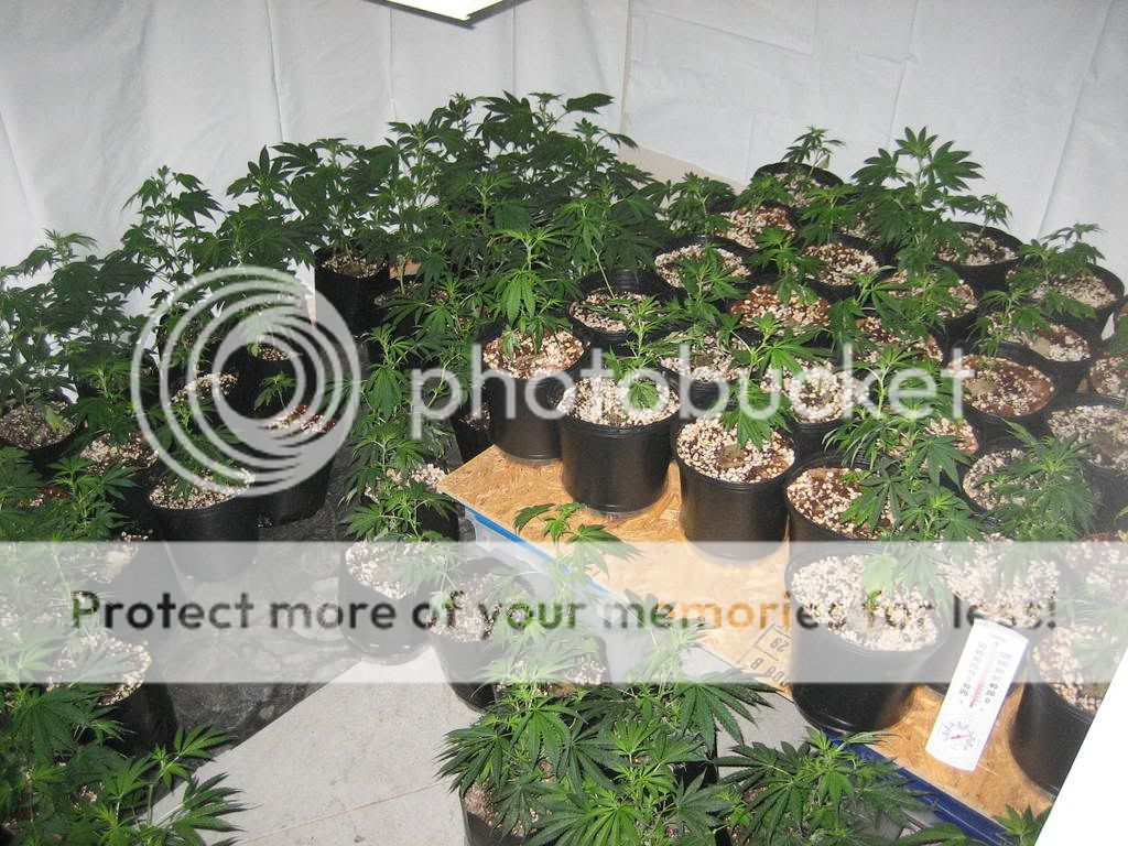 IMG_3211.jpg