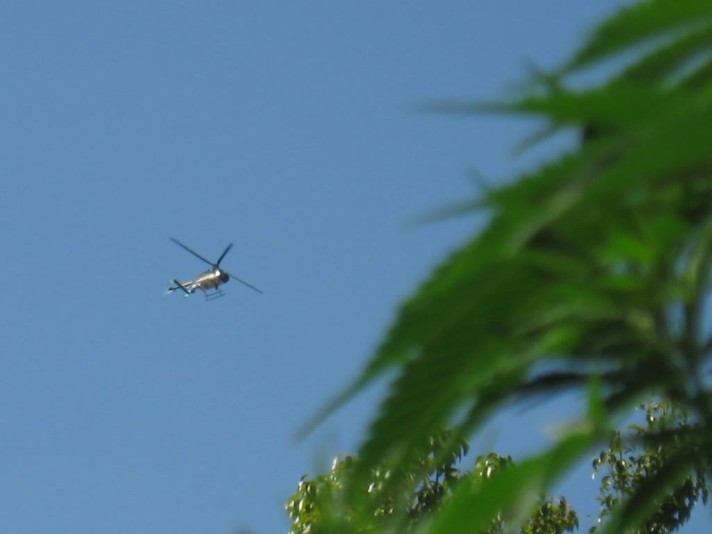 IMG_1232-2.jpg