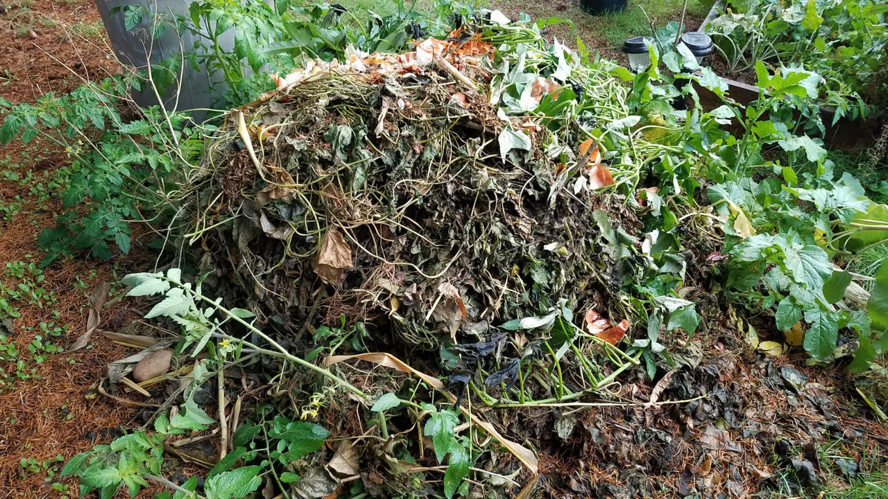 vermicompost1.jpg