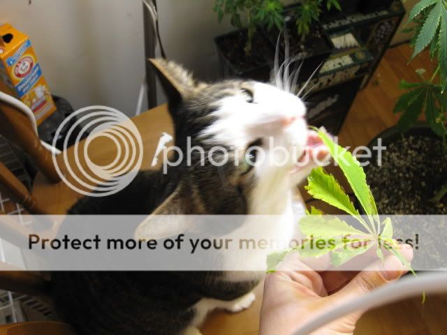 20090228_12.jpg