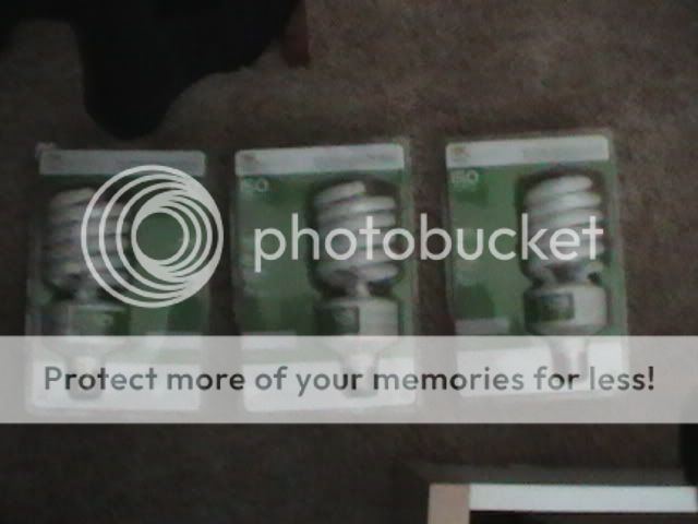Picture010.jpg