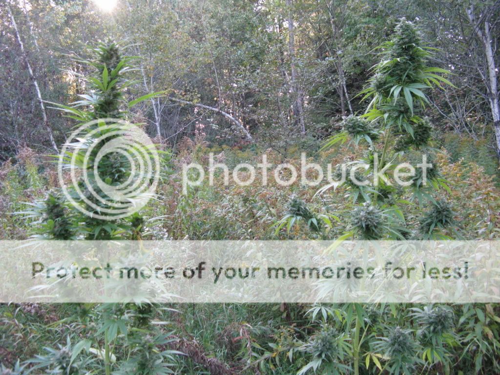 Photo165.jpg