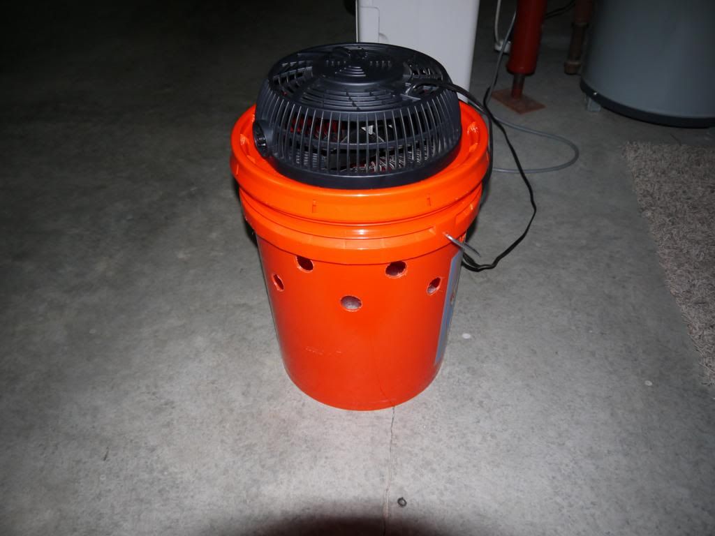 P1000576_zps606829b2.jpg