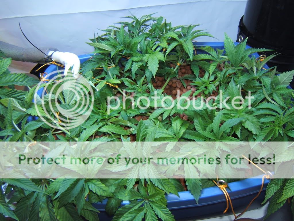 Day24Posttrim.jpg