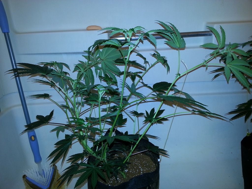 20120930_201830.jpg