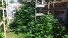 2600918-eafbd7ed9ba6fc682c1b3033b613ba8a.jpg
