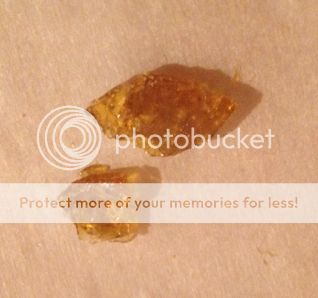 IMG_0902_zps1306af98.jpg