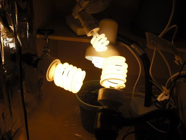 DSCF0168.jpg